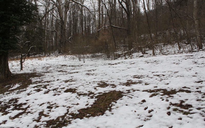 1349 Point Mountain Road, Webster Springs, West Virginia 26288, 3 Bedrooms Bedrooms, 9 Rooms Rooms,2 BathroomsBathrooms,Single Family Detached,For Sale,Point Mountain,10162995