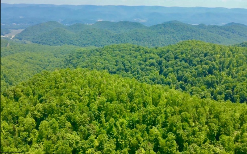 4967 Rich Mountain Road, Mabie, West Virginia 26278, ,Lots/land,For Sale,Rich Mountain,10162994