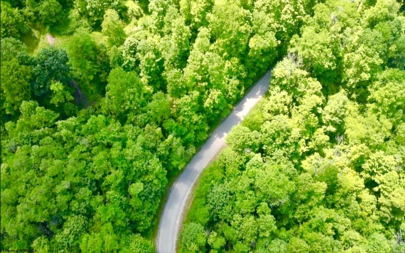 4967 Rich Mountain Road, Mabie, West Virginia 26278, ,Lots/land,For Sale,Rich Mountain,10162994