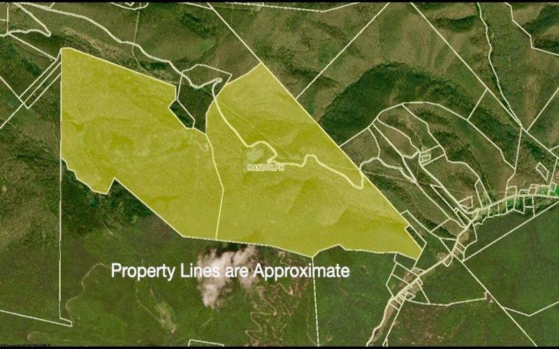 4967 Rich Mountain Road, Mabie, West Virginia 26278, ,Lots/land,For Sale,Rich Mountain,10162994