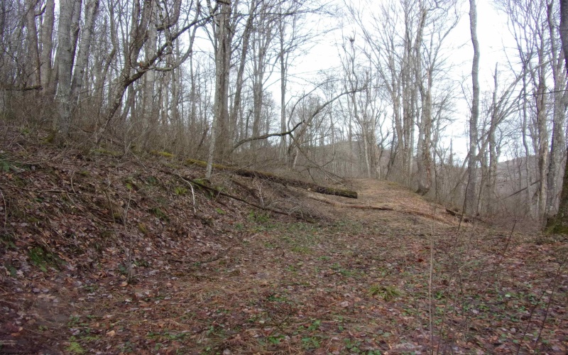 2347 Salt Lick Road, Montrose, West Virginia 26283, ,Lots/land,For Sale,Salt Lick,10163005 2347 Salt Lick Road, Montrose, West Virginia 26283, ,Lots/land,For Sale,Salt Lick,10163005