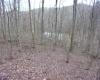 2347 Salt Lick Road, Montrose, West Virginia 26283, ,Lots/land,For Sale,Salt Lick,10163005 2347 Salt Lick Road, Montrose, West Virginia 26283, ,Lots/land,For Sale,Salt Lick,10163005