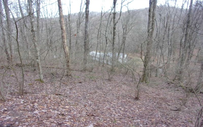 2347 Salt Lick Road, Montrose, West Virginia 26283, ,Lots/land,For Sale,Salt Lick,10163005 2347 Salt Lick Road, Montrose, West Virginia 26283, ,Lots/land,For Sale,Salt Lick,10163005