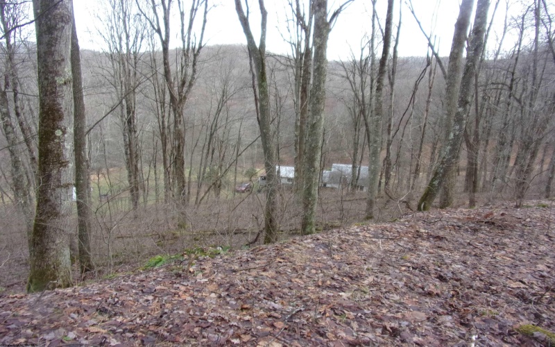 2347 Salt Lick Road, Montrose, West Virginia 26283, ,Lots/land,For Sale,Salt Lick,10163005 2347 Salt Lick Road, Montrose, West Virginia 26283, ,Lots/land,For Sale,Salt Lick,10163005