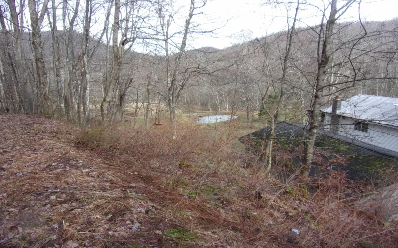 2347 Salt Lick Road, Montrose, West Virginia 26283, ,Lots/land,For Sale,Salt Lick,10163005 2347 Salt Lick Road, Montrose, West Virginia 26283, ,Lots/land,For Sale,Salt Lick,10163005
