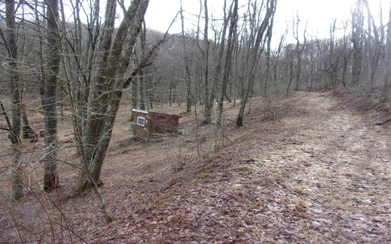 2347 Salt Lick Road, Montrose, West Virginia 26283, ,Lots/land,For Sale,Salt Lick,10163005 2347 Salt Lick Road, Montrose, West Virginia 26283, ,Lots/land,For Sale,Salt Lick,10163005