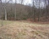 2347 Salt Lick Road, Montrose, West Virginia 26283, ,Lots/land,For Sale,Salt Lick,10163005 2347 Salt Lick Road, Montrose, West Virginia 26283, ,Lots/land,For Sale,Salt Lick,10163005