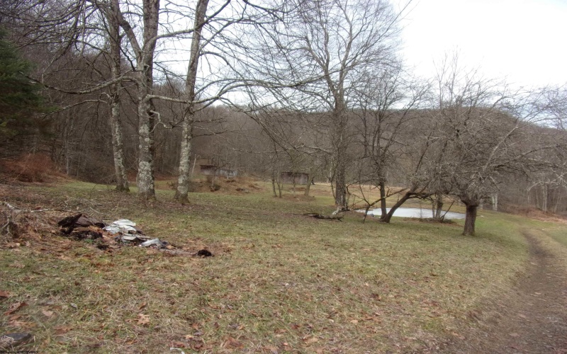 2347 Salt Lick Road, Montrose, West Virginia 26283, ,Lots/land,For Sale,Salt Lick,10163005 2347 Salt Lick Road, Montrose, West Virginia 26283, ,Lots/land,For Sale,Salt Lick,10163005