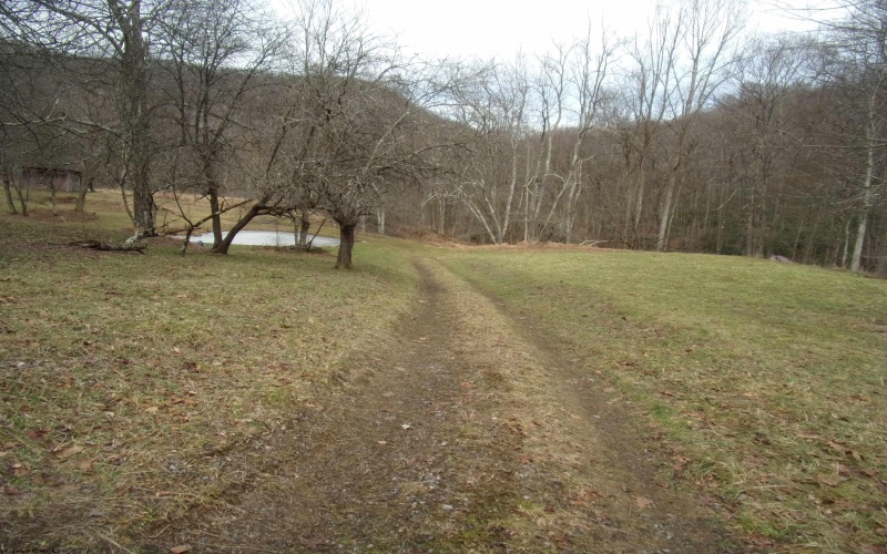 2347 Salt Lick Road, Montrose, West Virginia 26283, ,Lots/land,For Sale,Salt Lick,10163005 2347 Salt Lick Road, Montrose, West Virginia 26283, ,Lots/land,For Sale,Salt Lick,10163005