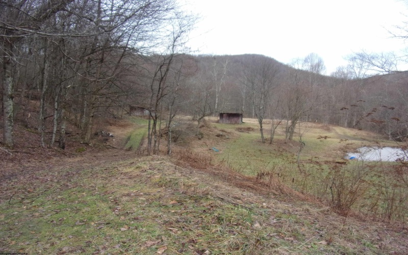 2347 Salt Lick Road, Montrose, West Virginia 26283, ,Lots/land,For Sale,Salt Lick,10163005 2347 Salt Lick Road, Montrose, West Virginia 26283, ,Lots/land,For Sale,Salt Lick,10163005