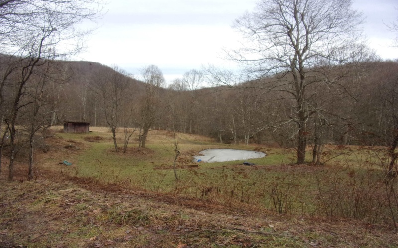 2347 Salt Lick Road, Montrose, West Virginia 26283, ,Lots/land,For Sale,Salt Lick,10163005 2347 Salt Lick Road, Montrose, West Virginia 26283, ,Lots/land,For Sale,Salt Lick,10163005