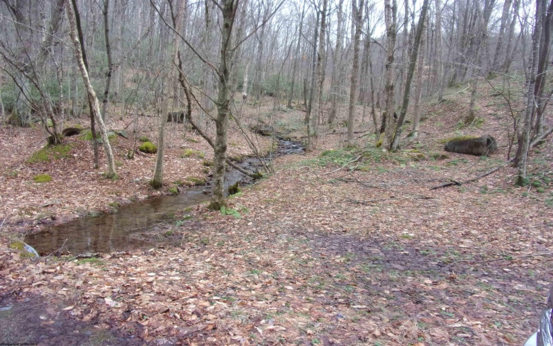 2347 Salt Lick Road, Montrose, West Virginia 26283, ,Lots/land,For Sale,Salt Lick,10163005 2347 Salt Lick Road, Montrose, West Virginia 26283, ,Lots/land,For Sale,Salt Lick,10163005