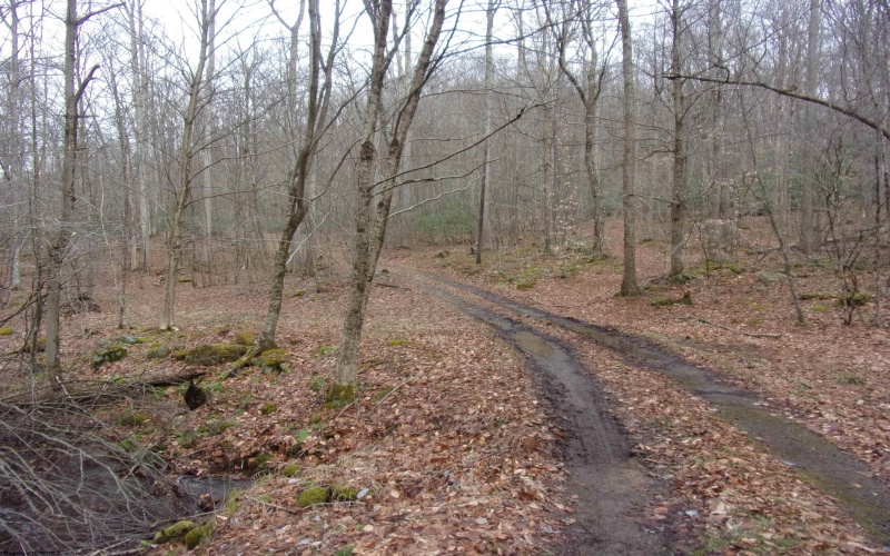 2347 Salt Lick Road, Montrose, West Virginia 26283, ,Lots/land,For Sale,Salt Lick,10163005 2347 Salt Lick Road, Montrose, West Virginia 26283, ,Lots/land,For Sale,Salt Lick,10163005