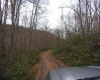 2347 Salt Lick Road, Montrose, West Virginia 26283, ,Lots/land,For Sale,Salt Lick,10163005 2347 Salt Lick Road, Montrose, West Virginia 26283, ,Lots/land,For Sale,Salt Lick,10163005