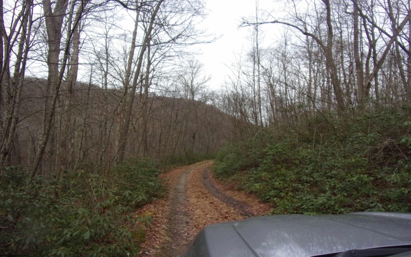 2347 Salt Lick Road, Montrose, West Virginia 26283, ,Lots/land,For Sale,Salt Lick,10163005 2347 Salt Lick Road, Montrose, West Virginia 26283, ,Lots/land,For Sale,Salt Lick,10163005