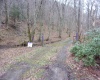 2347 Salt Lick Road, Montrose, West Virginia 26283, ,Lots/land,For Sale,Salt Lick,10163005 2347 Salt Lick Road, Montrose, West Virginia 26283, ,Lots/land,For Sale,Salt Lick,10163005