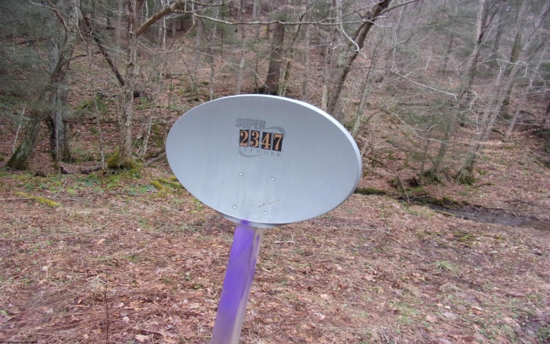 2347 Salt Lick Road, Montrose, West Virginia 26283, ,Lots/land,For Sale,Salt Lick,10163005 2347 Salt Lick Road, Montrose, West Virginia 26283, ,Lots/land,For Sale,Salt Lick,10163005