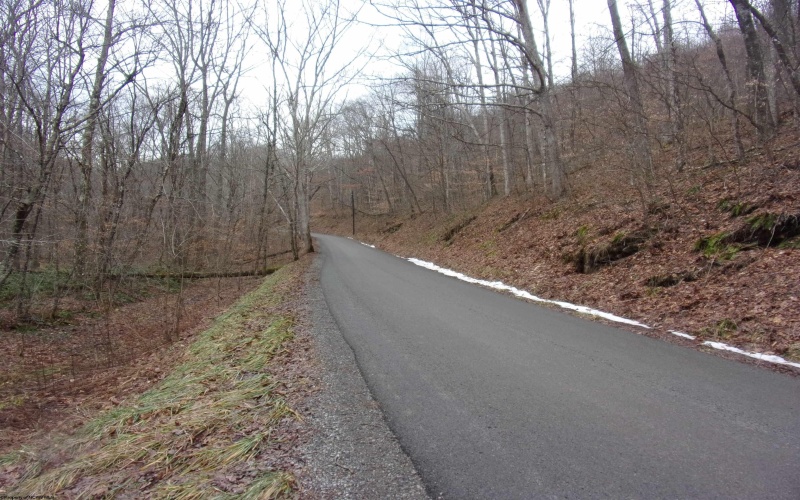 2347 Salt Lick Road, Montrose, West Virginia 26283, ,Lots/land,For Sale,Salt Lick,10163005 2347 Salt Lick Road, Montrose, West Virginia 26283, ,Lots/land,For Sale,Salt Lick,10163005