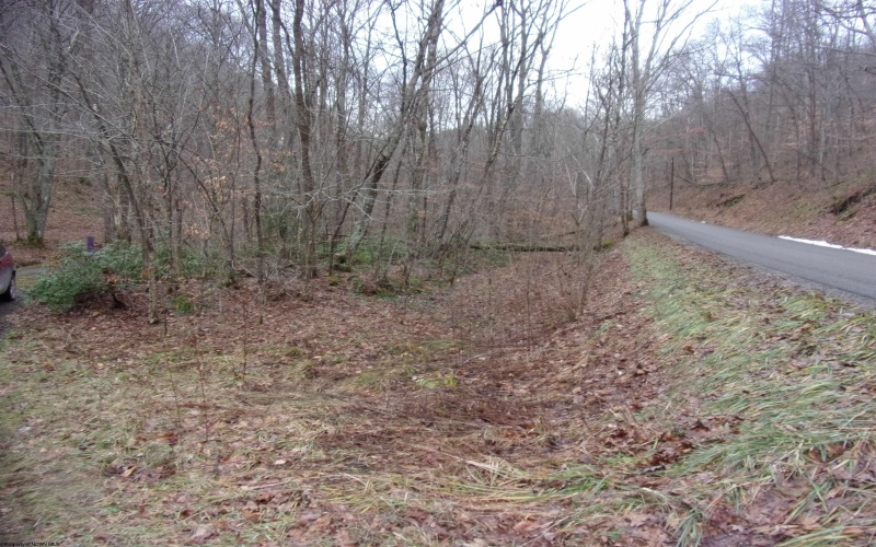 2347 Salt Lick Road, Montrose, West Virginia 26283, ,Lots/land,For Sale,Salt Lick,10163005 2347 Salt Lick Road, Montrose, West Virginia 26283, ,Lots/land,For Sale,Salt Lick,10163005