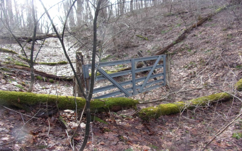 2347 Salt Lick Road, Montrose, West Virginia 26283, ,Lots/land,For Sale,Salt Lick,10163005 2347 Salt Lick Road, Montrose, West Virginia 26283, ,Lots/land,For Sale,Salt Lick,10163005