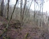 2347 Salt Lick Road, Montrose, West Virginia 26283, ,Lots/land,For Sale,Salt Lick,10163005 2347 Salt Lick Road, Montrose, West Virginia 26283, ,Lots/land,For Sale,Salt Lick,10163005