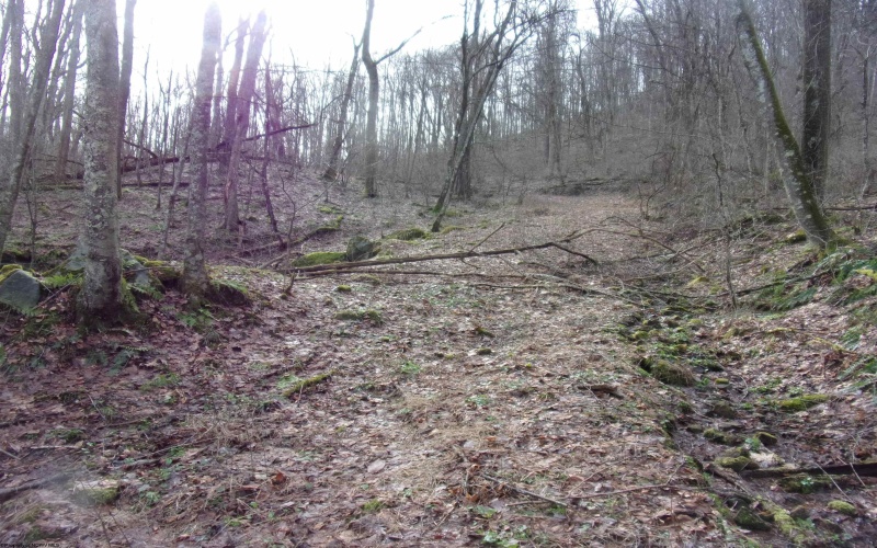 2347 Salt Lick Road, Montrose, West Virginia 26283, ,Lots/land,For Sale,Salt Lick,10163005 2347 Salt Lick Road, Montrose, West Virginia 26283, ,Lots/land,For Sale,Salt Lick,10163005