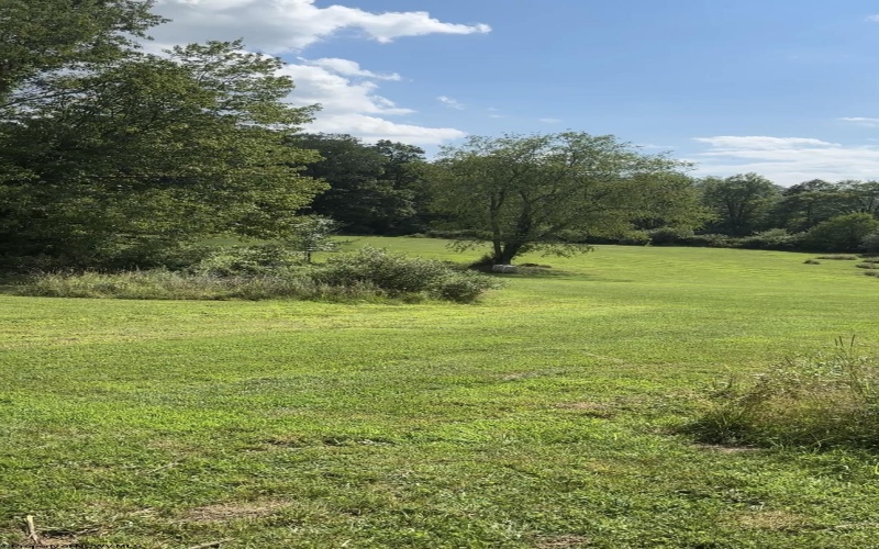 104 Midway Loop, Elkins, West Virginia 26241, ,Lots/land,For Sale,Midway,10163013 104 Midway Loop, Elkins, West Virginia 26241, ,Lots/land,For Sale,Midway,10163013