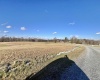 TBD Thornberry Lane, Ellamore, West Virginia 26267, ,Lots/land,For Sale,Thornberry,10163015