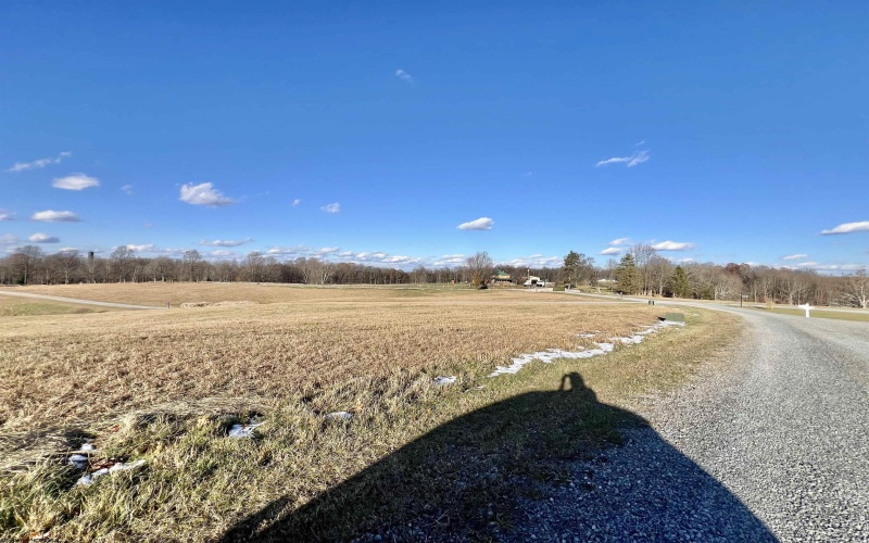 TBD Thornberry Lane, Ellamore, West Virginia 26267, ,Lots/land,For Sale,Thornberry,10163015