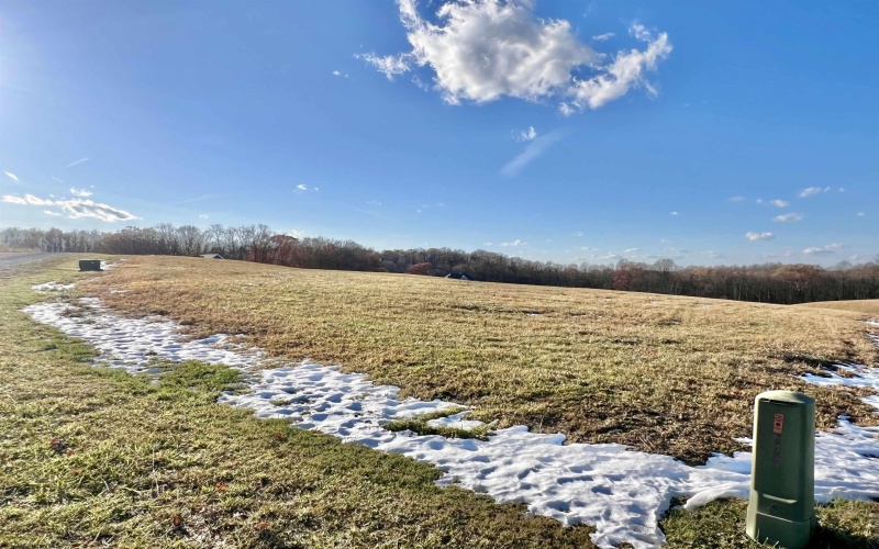TBD Thornberry Lane, Ellamore, West Virginia 26267, ,Lots/land,For Sale,Thornberry,10163015