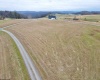TBD Thornberry Lane, Ellamore, West Virginia 26267, ,Lots/land,For Sale,Thornberry,10163015
