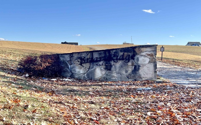 TBD Thornberry Lane, Ellamore, West Virginia 26267, ,Lots/land,For Sale,Thornberry,10163015