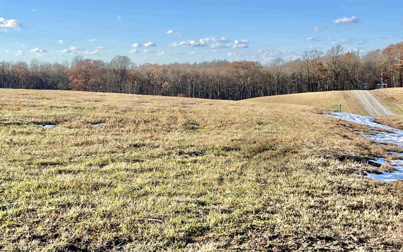 TBD Thornberry Lane, Ellamore, West Virginia 26267, ,Lots/land,For Sale,Thornberry,10163015