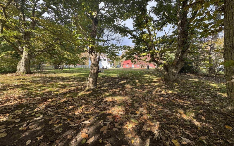 3118 Cleveland Road, Cleveland, West Virginia 26215, 3 Bedrooms Bedrooms, 6 Rooms Rooms,2 BathroomsBathrooms,Single Family Detached,For Sale,Cleveland,10163027