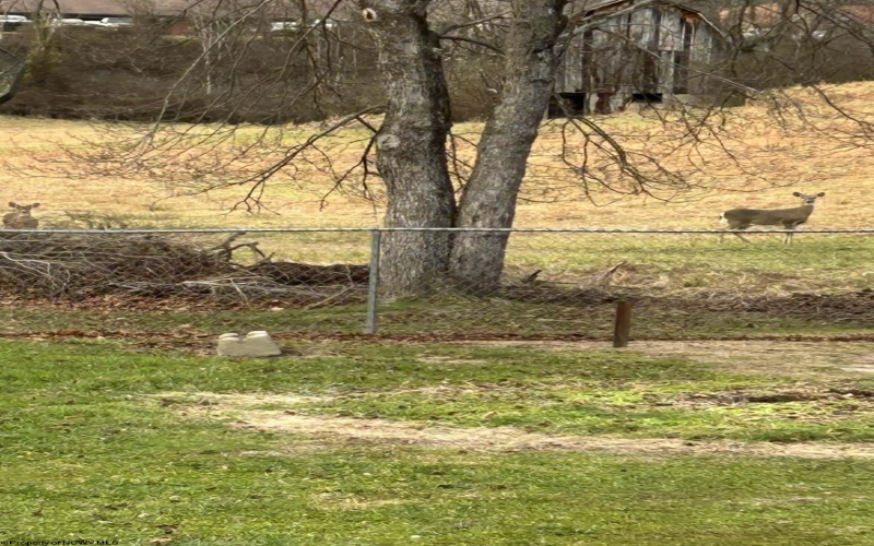 71 Lincoln Street, Buckhannon, West Virginia 26201, 3 Bedrooms Bedrooms, 5 Rooms Rooms,1 BathroomBathrooms,Single Family Detached,For Sale,Lincoln,10163016