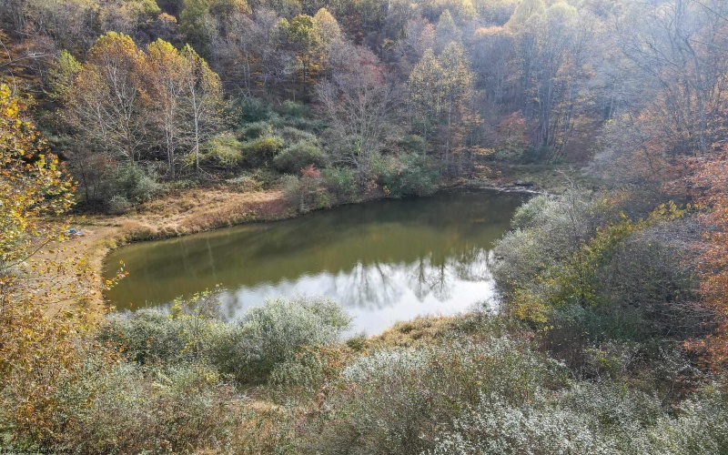 302 Smokey Mountain Road, Lost Creek, West Virginia 26385, 3 Bedrooms Bedrooms, 7 Rooms Rooms,1 BathroomBathrooms,Single Family Detached,For Sale,Smokey Mountain,10163026