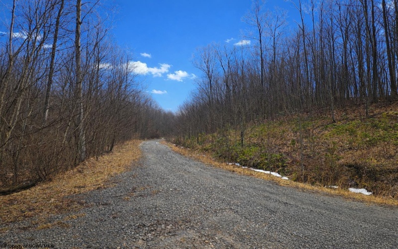 2110 Teter Creek Road, Belington, West Virginia 26250, ,Lots/land,For Sale,Teter Creek,10163032