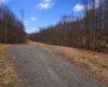 2110 Teter Creek Road, Belington, West Virginia 26250, ,Lots/land,For Sale,Teter Creek,10163032