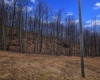 2110 Teter Creek Road, Belington, West Virginia 26250, ,Lots/land,For Sale,Teter Creek,10163032