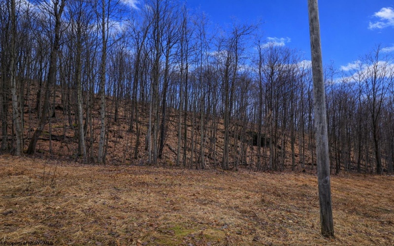 2110 Teter Creek Road, Belington, West Virginia 26250, ,Lots/land,For Sale,Teter Creek,10163032