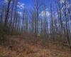 2110 Teter Creek Road, Belington, West Virginia 26250, ,Lots/land,For Sale,Teter Creek,10163032