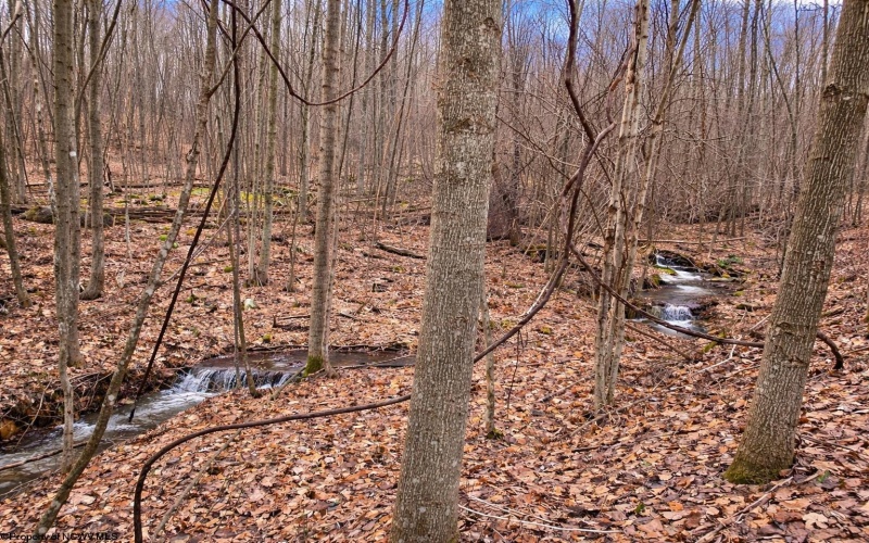 2110 Teter Creek Road, Belington, West Virginia 26250, ,Lots/land,For Sale,Teter Creek,10163032