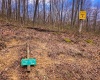 2110 Teter Creek Road, Belington, West Virginia 26250, ,Lots/land,For Sale,Teter Creek,10163032