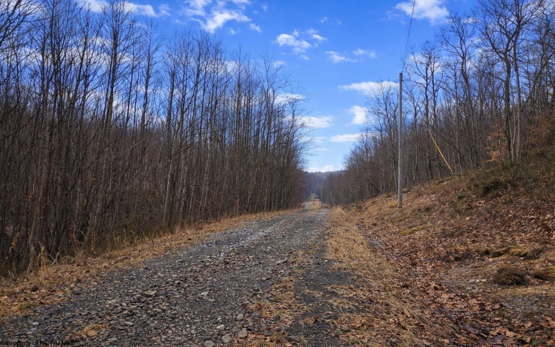 2110 Teter Creek Road, Belington, West Virginia 26250, ,Lots/land,For Sale,Teter Creek,10163032