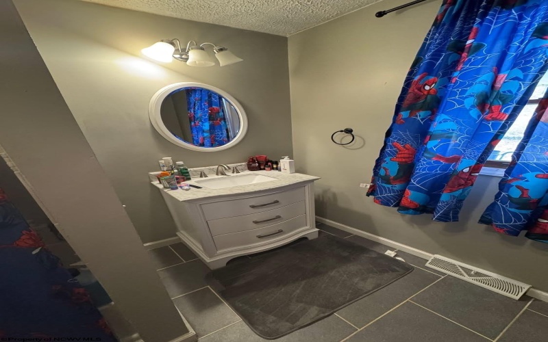 348 Panorama Way, Beverly, West Virginia 26253, 4 Bedrooms Bedrooms, 7 Rooms Rooms,3 BathroomsBathrooms,Single Family Detached,For Sale,Panorama,10163030