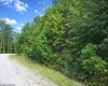 3101 Teter Creek Road, Belington, West Virginia 26250, ,Lots/land,For Sale,Teter Creek,10163036