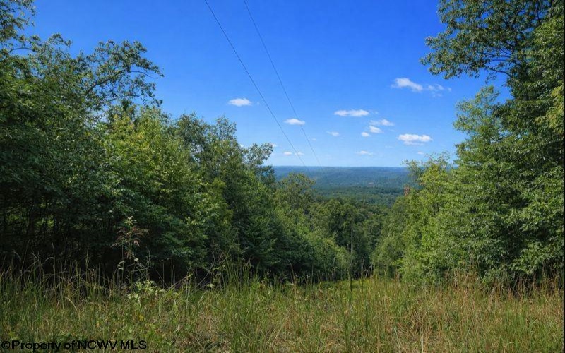 3101 Teter Creek Road, Belington, West Virginia 26250, ,Lots/land,For Sale,Teter Creek,10163036
