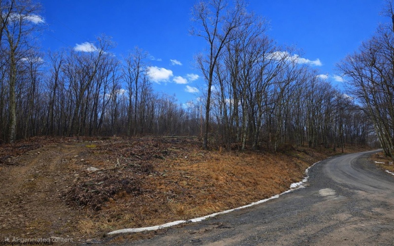 3101 Teter Creek Road, Belington, West Virginia 26250, ,Lots/land,For Sale,Teter Creek,10163036