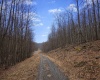 3101 Teter Creek Road, Belington, West Virginia 26250, ,Lots/land,For Sale,Teter Creek,10163036