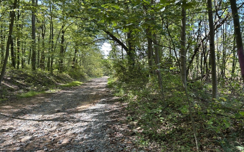 Lot 2 Crane School Road, Terra Alta, West Virginia 26764, ,Lots/land,For Sale,Crane School,10163045